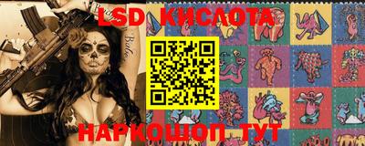 сатива Ставрополь