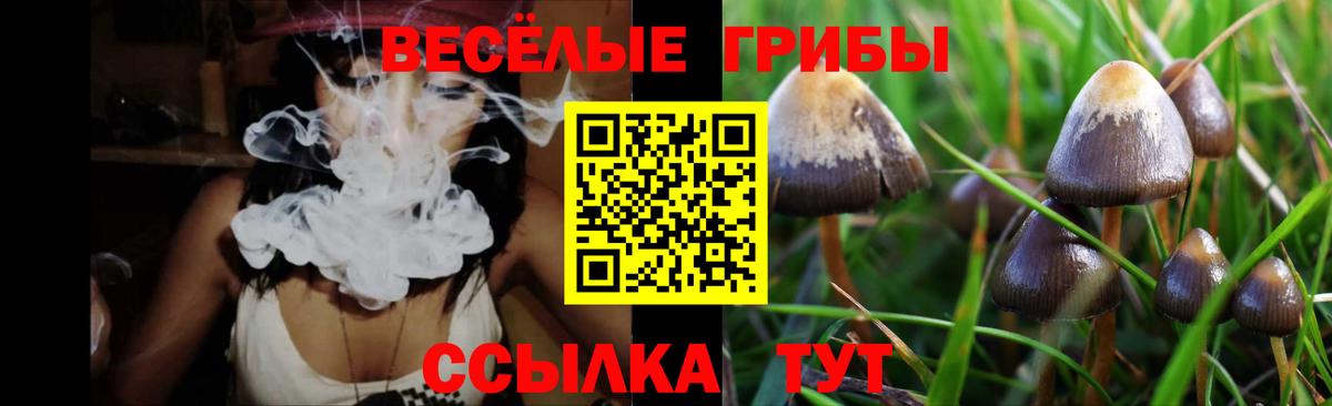 Галлюциногенные грибы Psilocybe  Вход с VPN  Новороссийск 