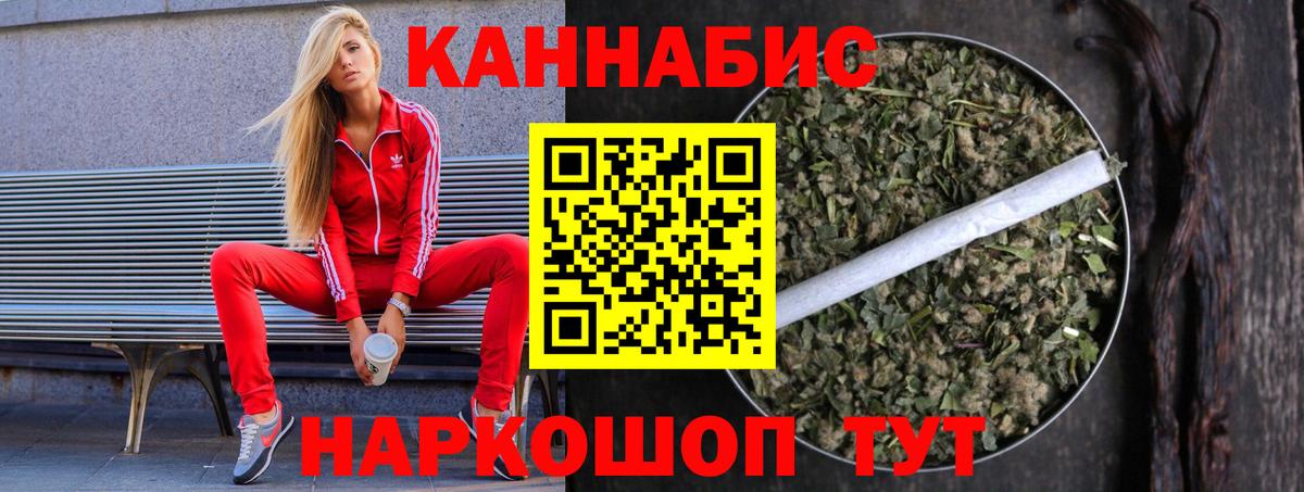 Бошки Шишки планчик Новороссийск